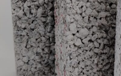 Bio-based Materials: Eco-friendly Allies, but What Are the Risks of Mold?